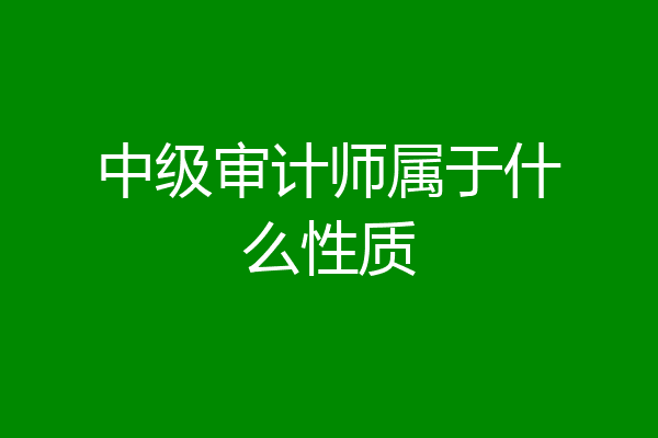 中级审计师属于什么性质