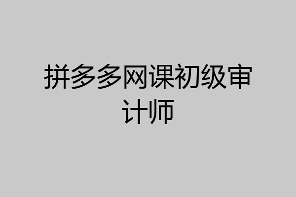 拼多多网课初级审计师
