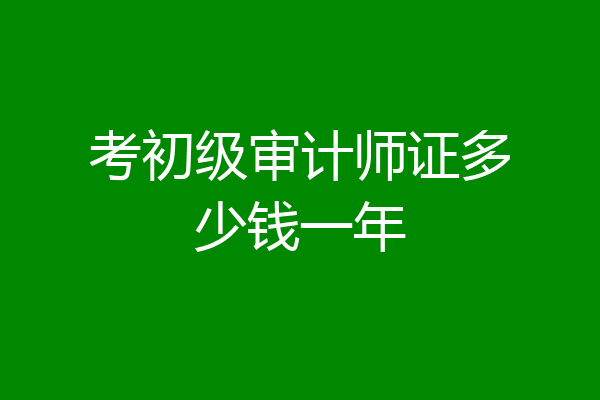 考初级审计师证多少钱一年