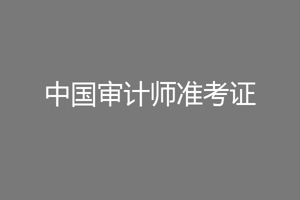 中国审计师准考证