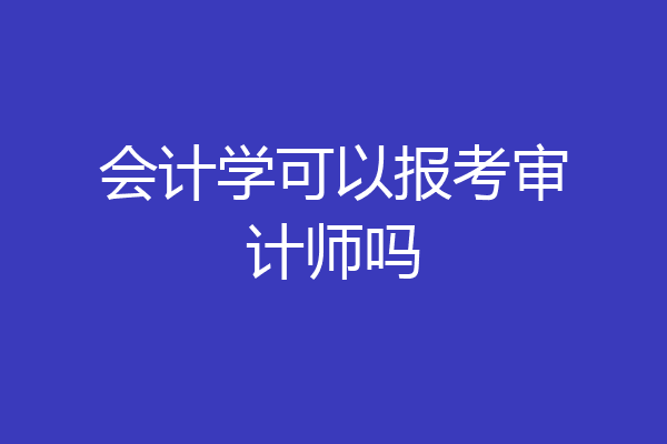 会计学可以报考审计师吗