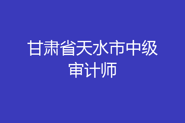 甘肃省天水市中级审计师