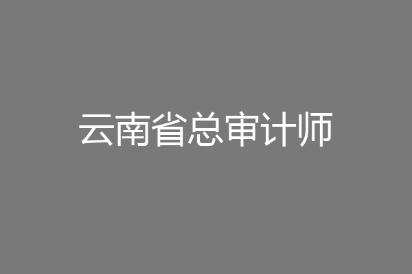 云南省总审计师