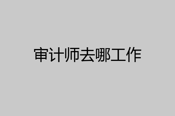 审计师去哪工作