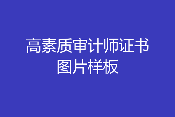 高素质审计师证书图片样板