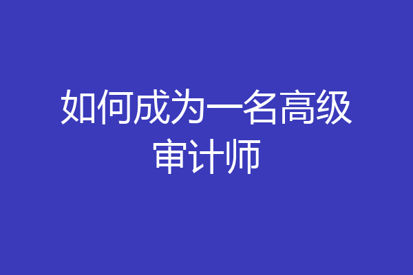 如何成为一名高级审计师