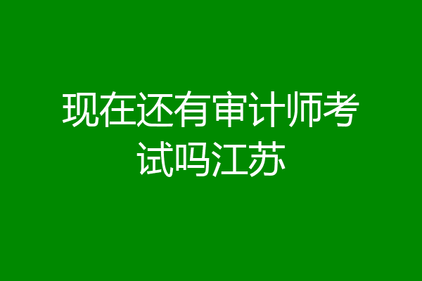 现在还有审计师考试吗江苏