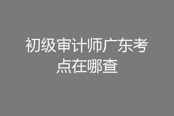初级审计师广东考点在哪查
