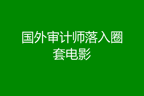 国外审计师落入圈套电影