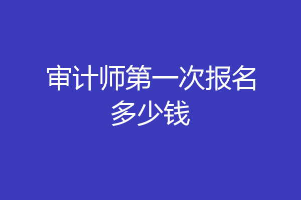 审计师第一次报名多少钱