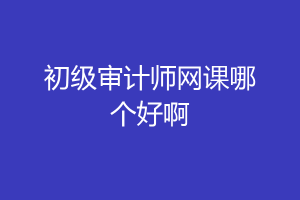 初级审计师网课哪个好啊