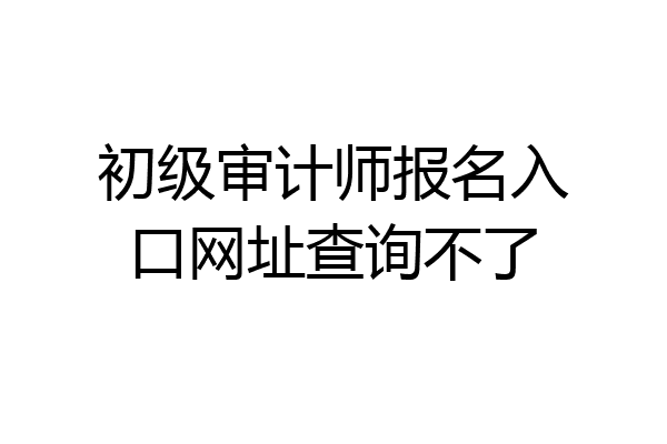 初级审计师报名入口网址查询不了