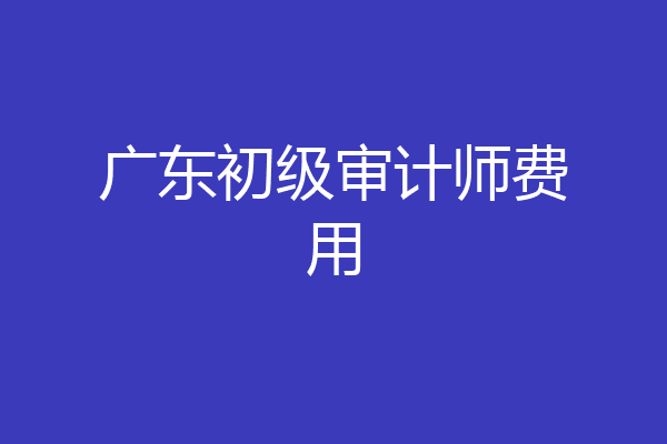 广东初级审计师费用