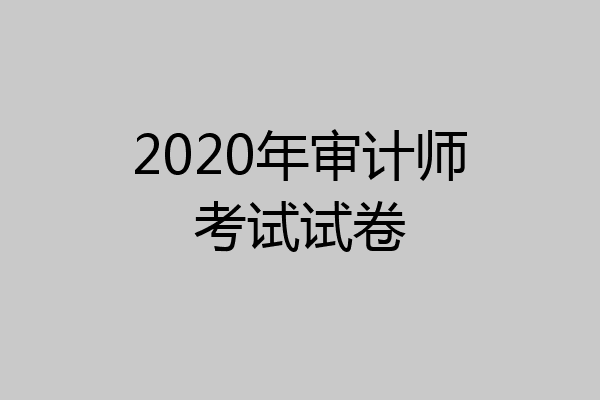 2020年审计师考试试卷