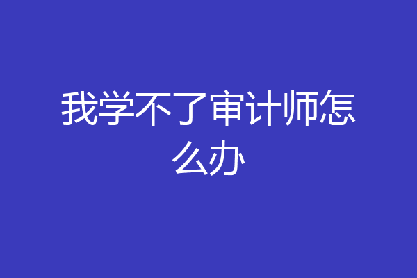 我学不了审计师怎么办
