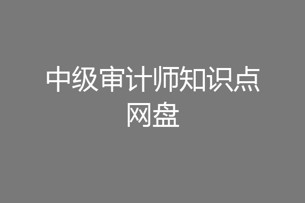 中级审计师知识点网盘