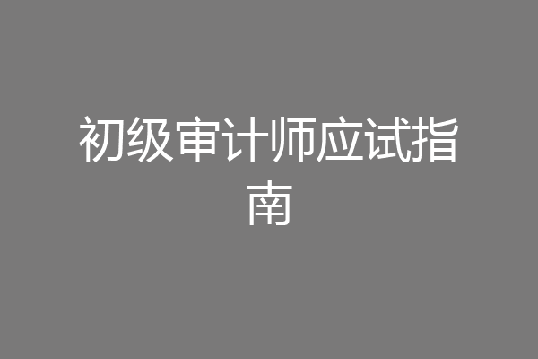 初级审计师应试指南