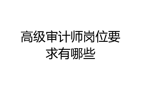 高级审计师岗位要求有哪些
