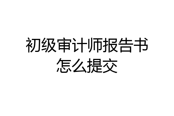 初级审计师报告书怎么提交