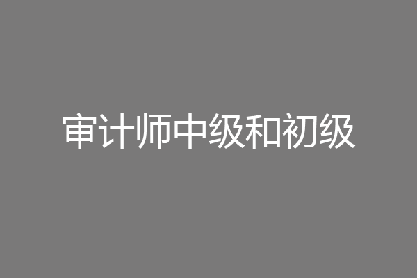 审计师中级和初级
