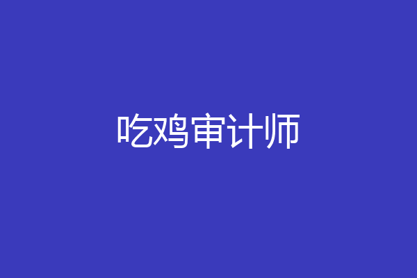 吃鸡审计师