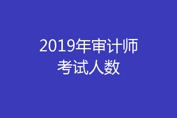 2019年审计师考试人数