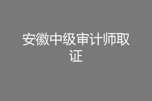 安徽中级审计师取证