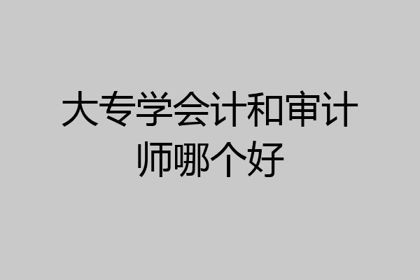 大专学会计和审计师哪个好