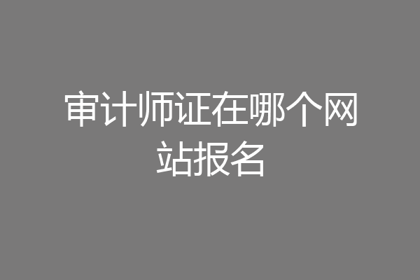 审计师证在哪个网站报名