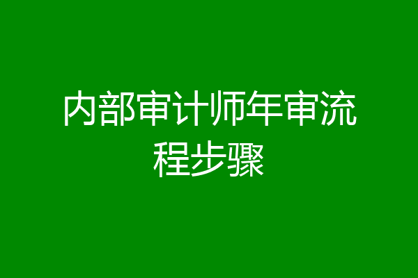 内部审计师年审流程步骤