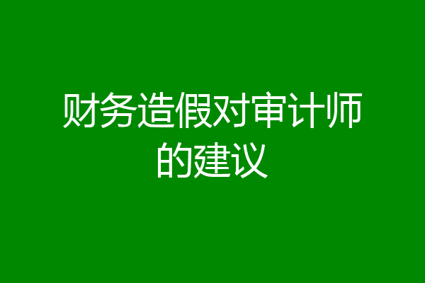 财务造假对审计师的建议