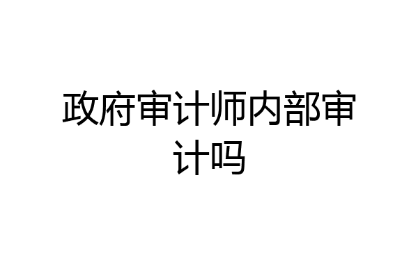 政府审计师内部审计吗