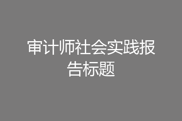 审计师社会实践报告标题