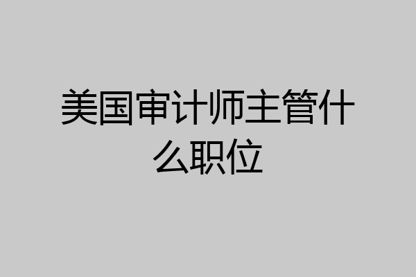 美国审计师主管什么职位