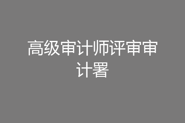 高级审计师评审审计署