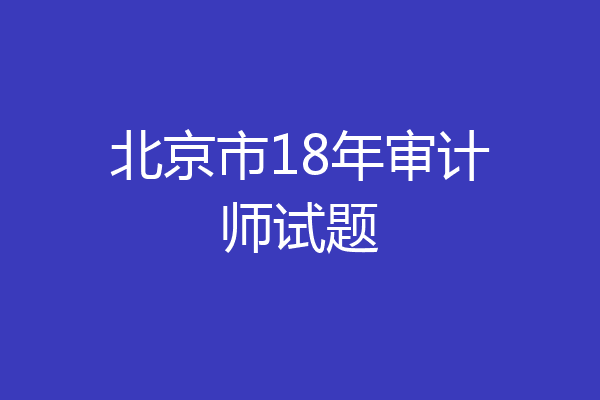 北京市18年审计师试题