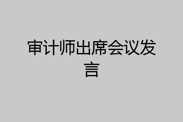 审计师出席会议发言