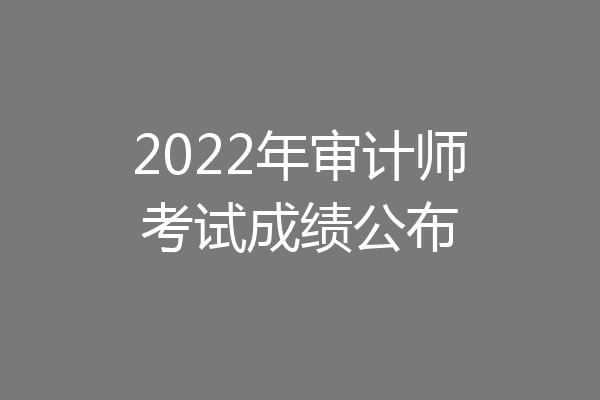 2022年审计师考试成绩公布