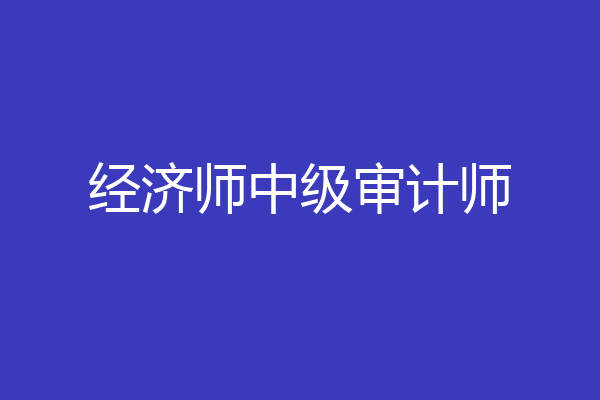 经济师中级审计师