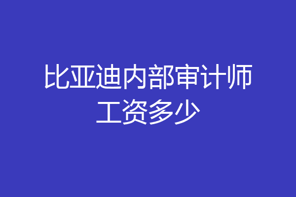 比亚迪内部审计师工资多少