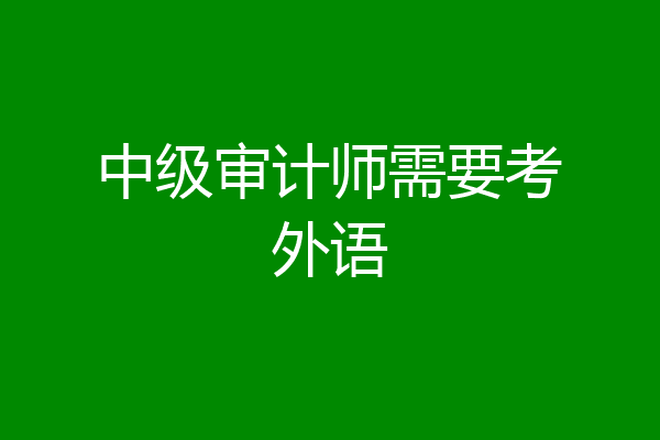 中级审计师需要考外语