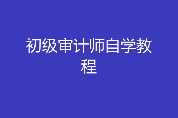 初级审计师自学教程