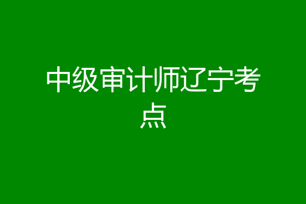 中级审计师辽宁考点