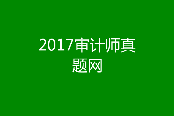 2017审计师真题网