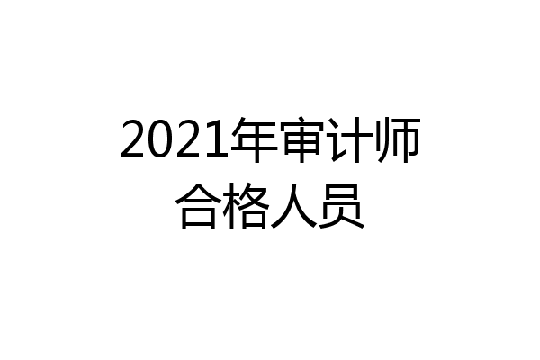 2021年审计师合格人员