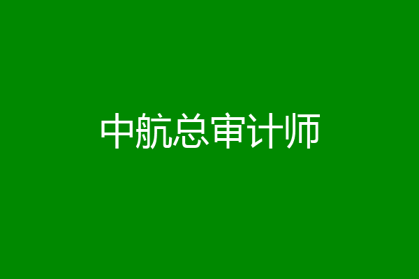 中航总审计师