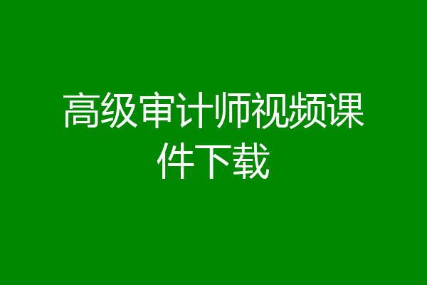 高级审计师视频课件下载