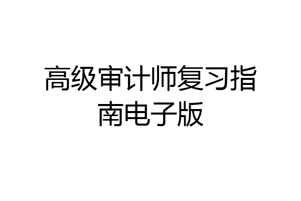 高级审计师复习指南电子版