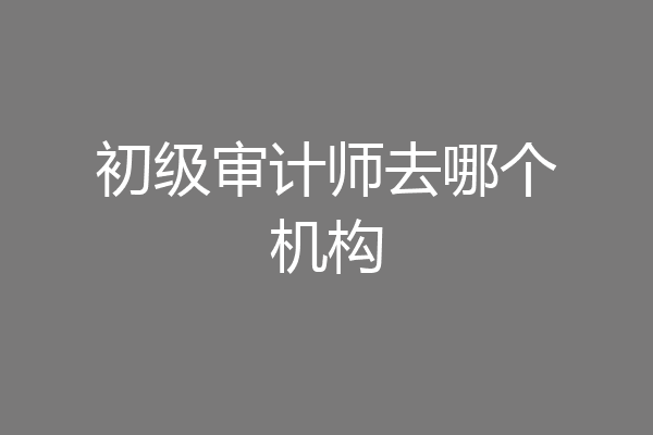 初级审计师去哪个机构