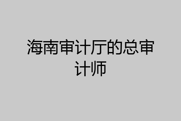 海南审计厅的总审计师